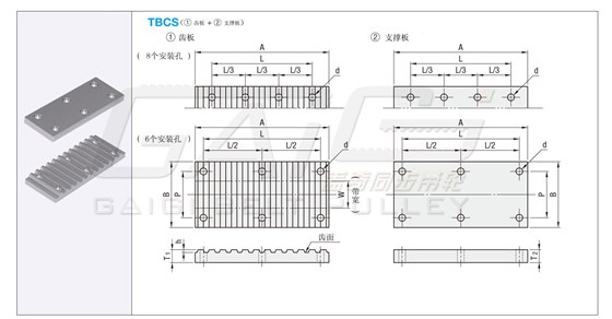 GAIGI蓋奇齒板TBCT型